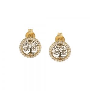 Boucles d'oreilles en or...