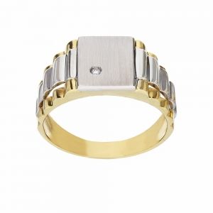 Schildring in 18K geel- en...