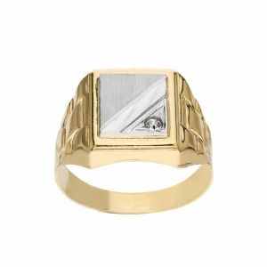 Schildring aus 18 Karat...