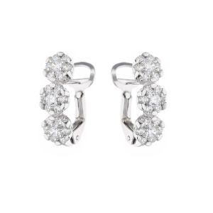Fleurs en Or blanc 18k avec...